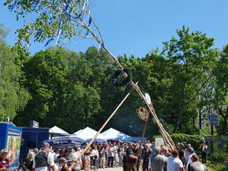 Maibaum-aufstellen-2025_21