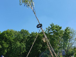 Maibaum-aufstellen-2025_28