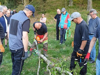 Maibaum-holen-2025_34