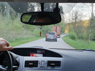 Maibaum-holen-2025_66